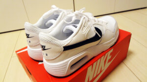 【口コミ&レビュー】NIKEのエアマックスSCを購入してみました!【メンズ】